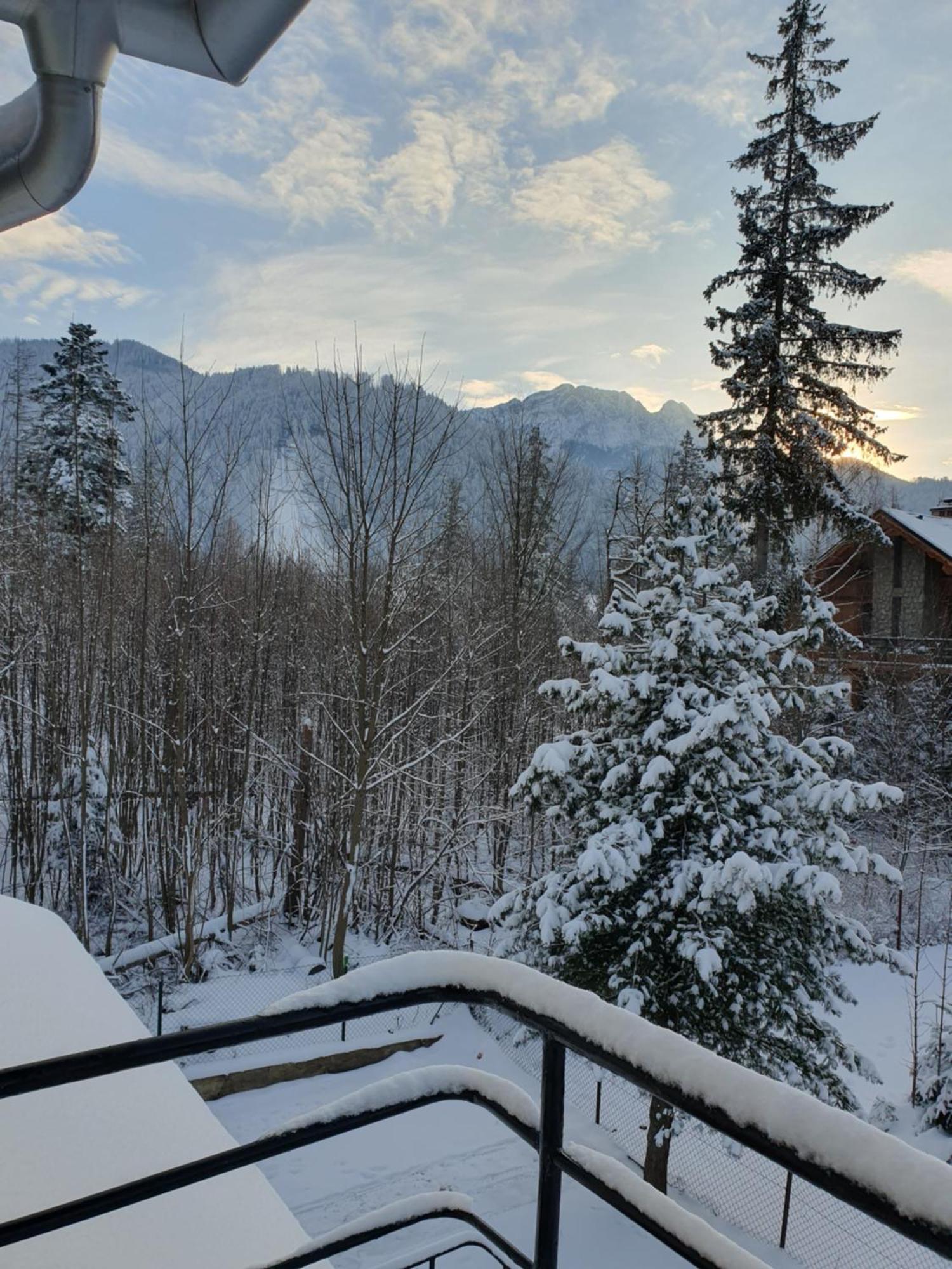 Asteria Appartement Zakopane Buitenkant foto