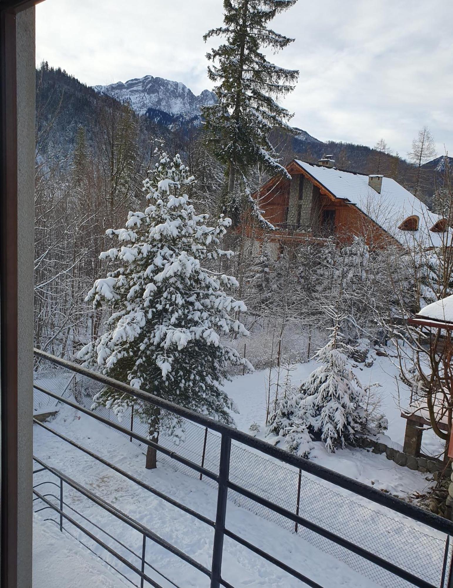 Asteria Appartement Zakopane Kamer foto