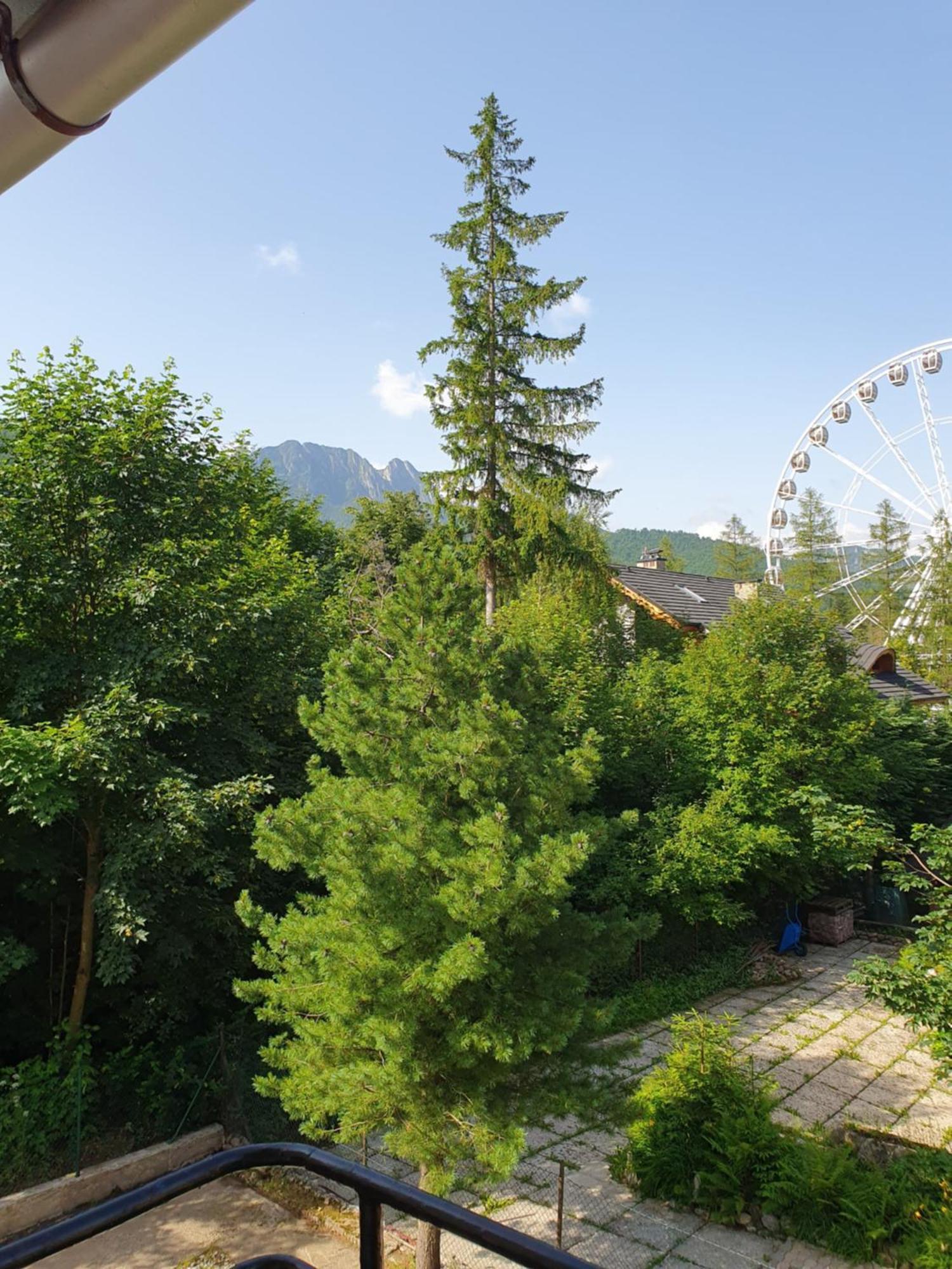 Asteria Appartement Zakopane Kamer foto